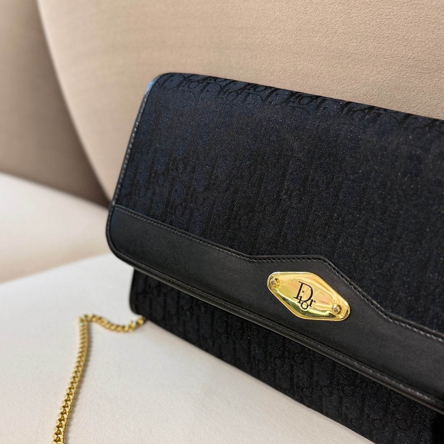 Christian Dior Golden Logo Trotter Canvas With Golden Chain Shoulder Bag