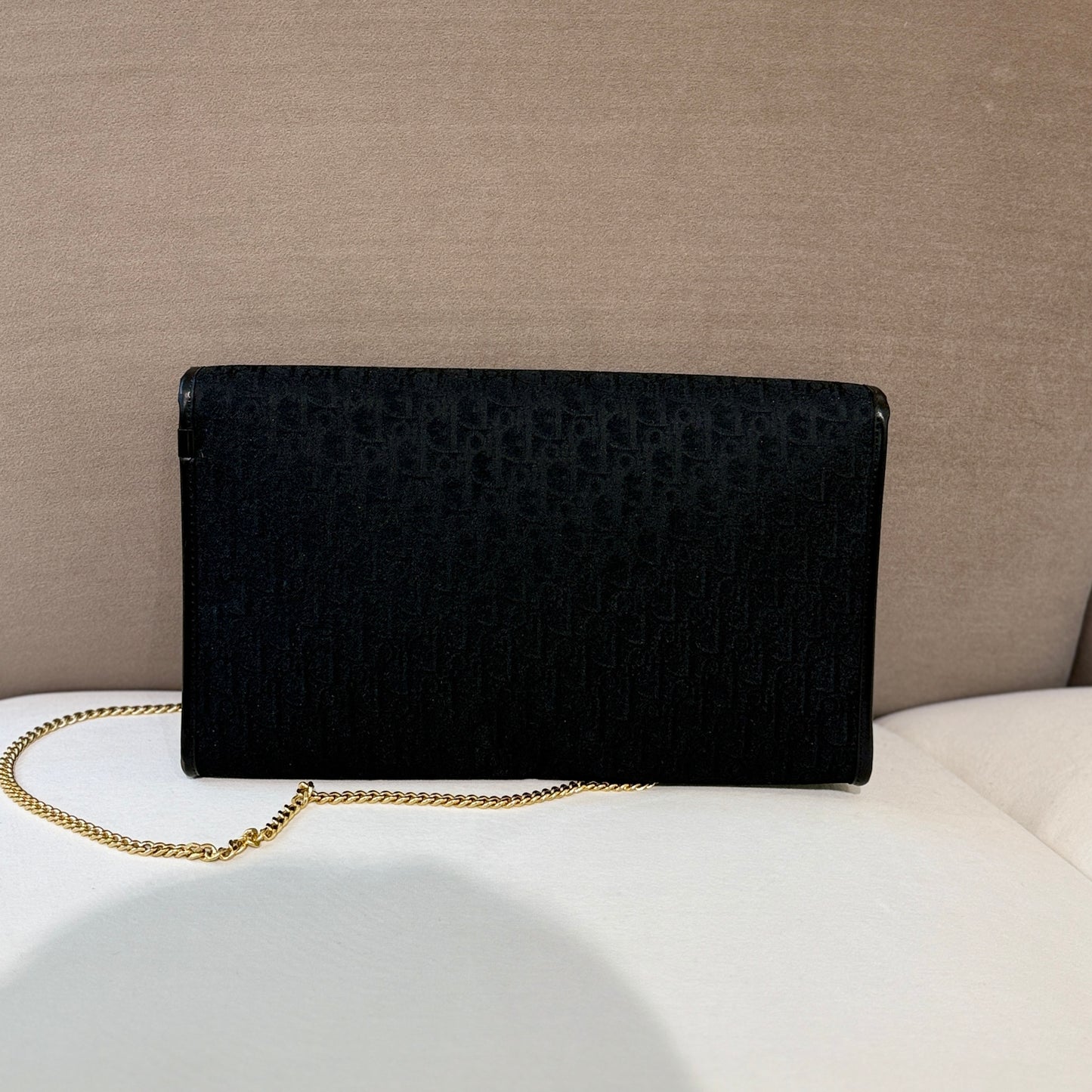 Christian Dior Golden Logo Trotter Canvas With Golden Chain Shoulder Bag