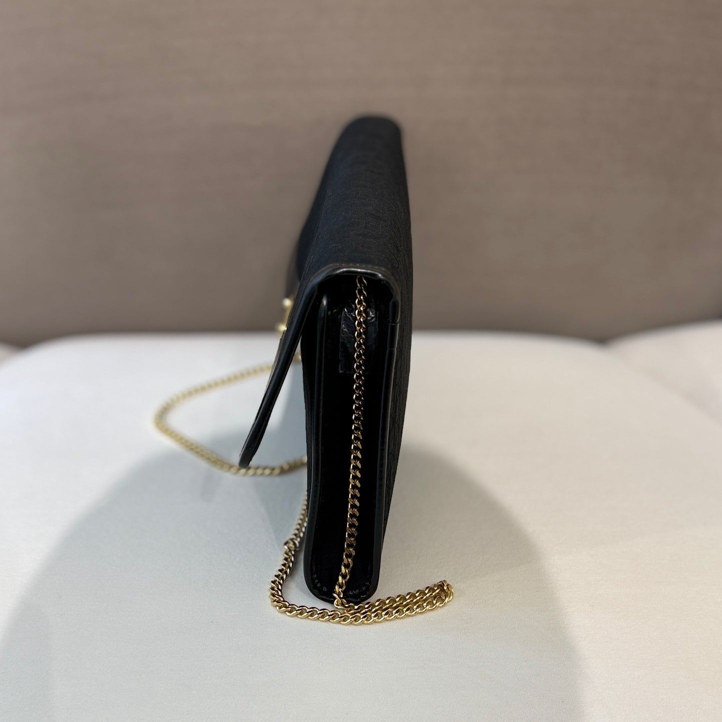 Christian Dior Golden Logo Trotter Canvas With Golden Chain Shoulder Bag