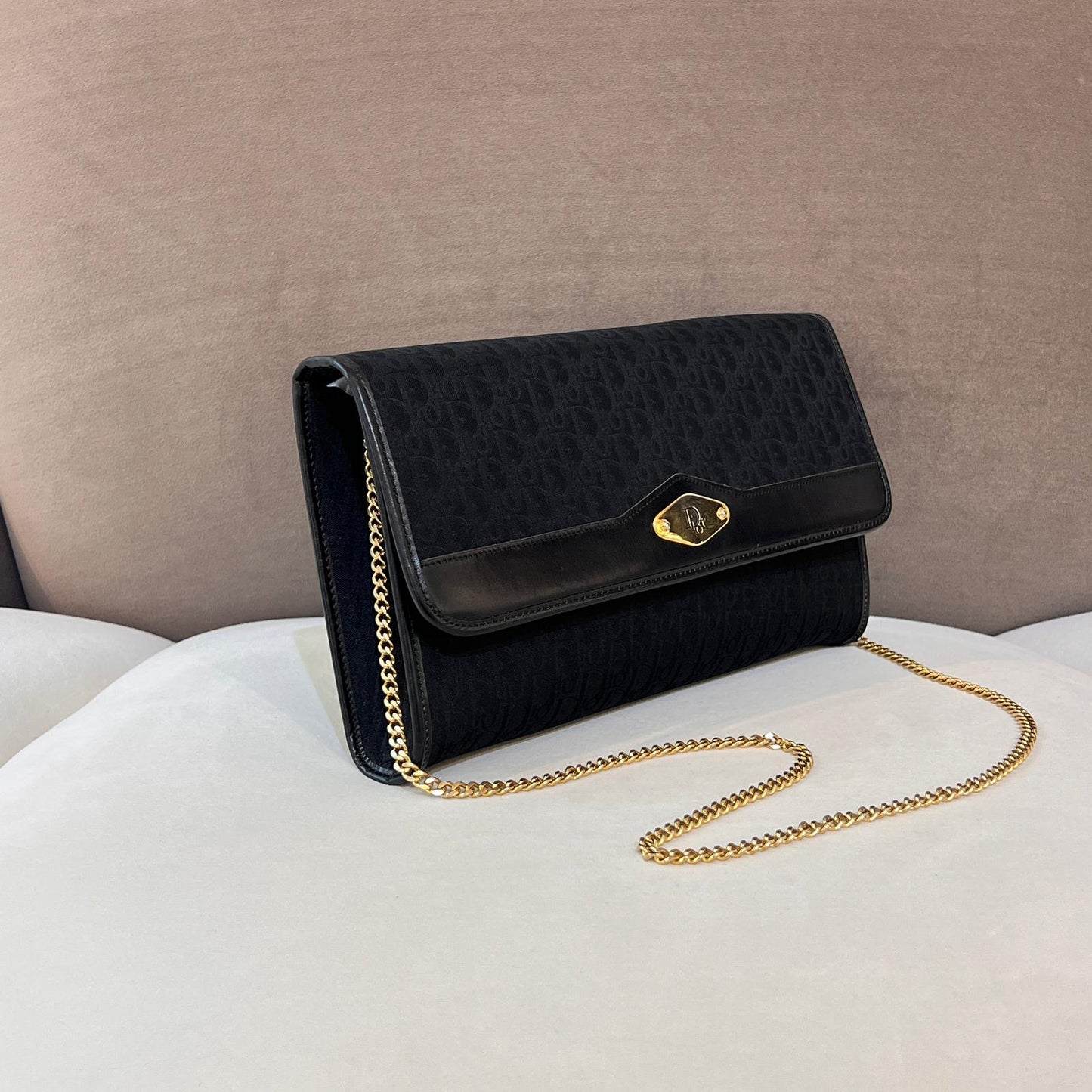 Christian Dior Vintage Trotter Chain Leather Shoulder Bag