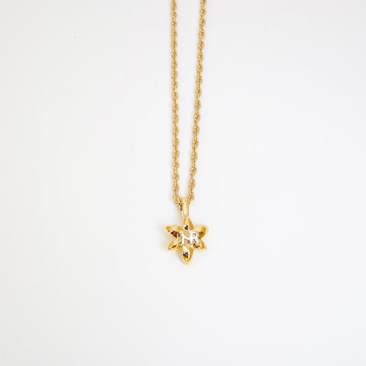 Nina Ricci Vintage NR Logo on Folwer Golden Necklace