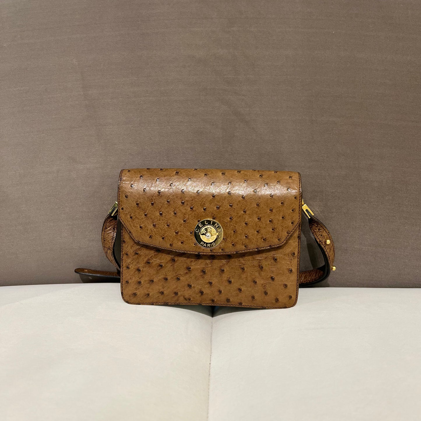 Celine Vintage Brown Ostrich Leather With Golden Push Lock Shoulder Bag