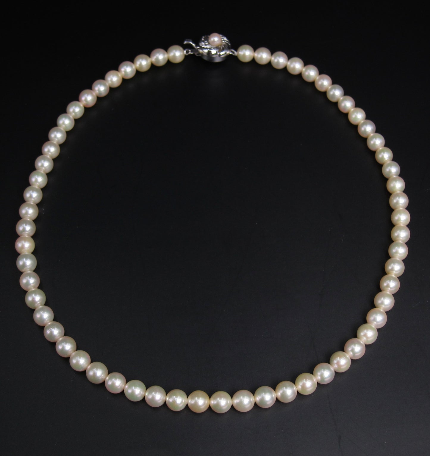 No Brand Vintage Akoya Pearl with Silver Flower Buckle Necklace