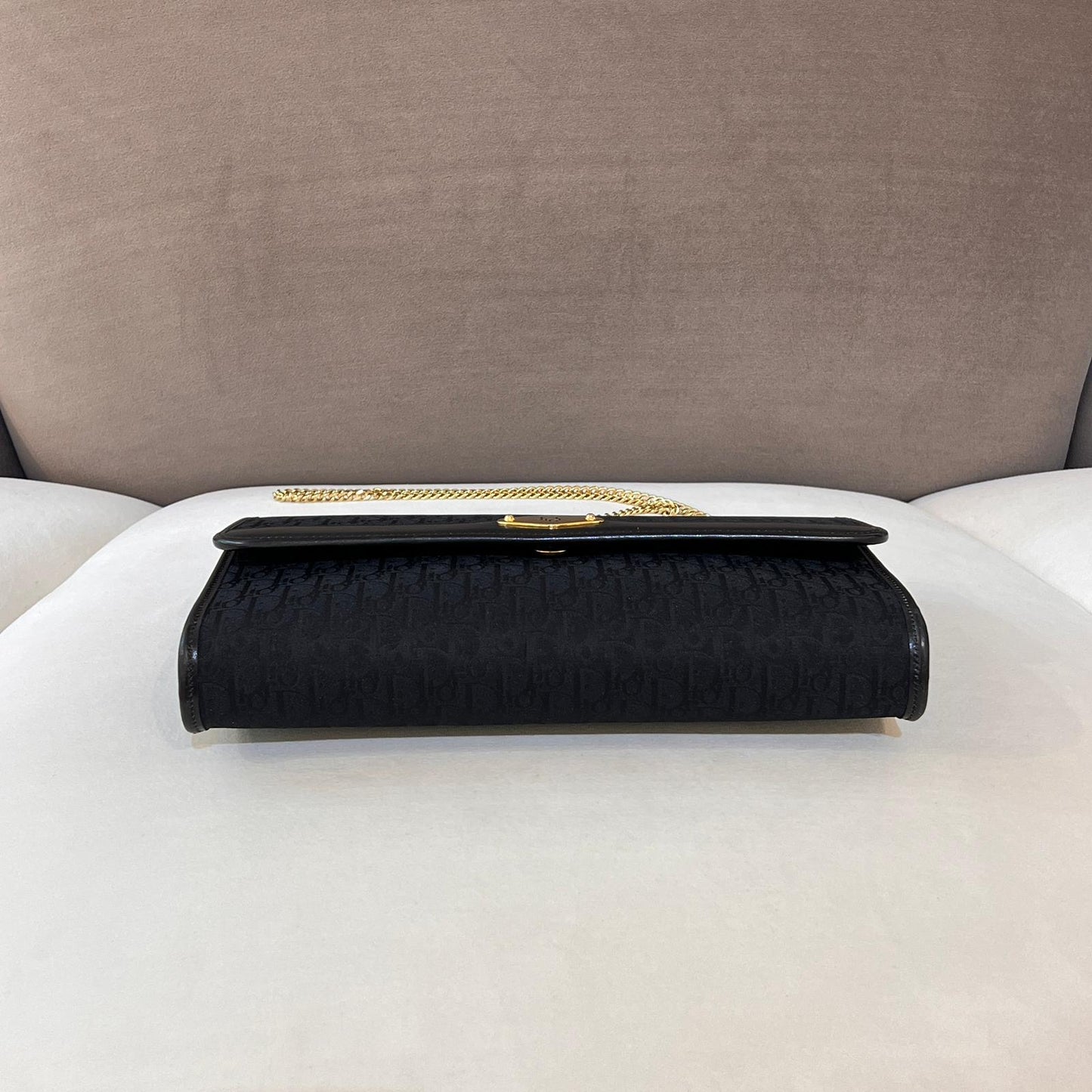 Christian Dior Vintage Trotter Chain Leather Shoulder Bag