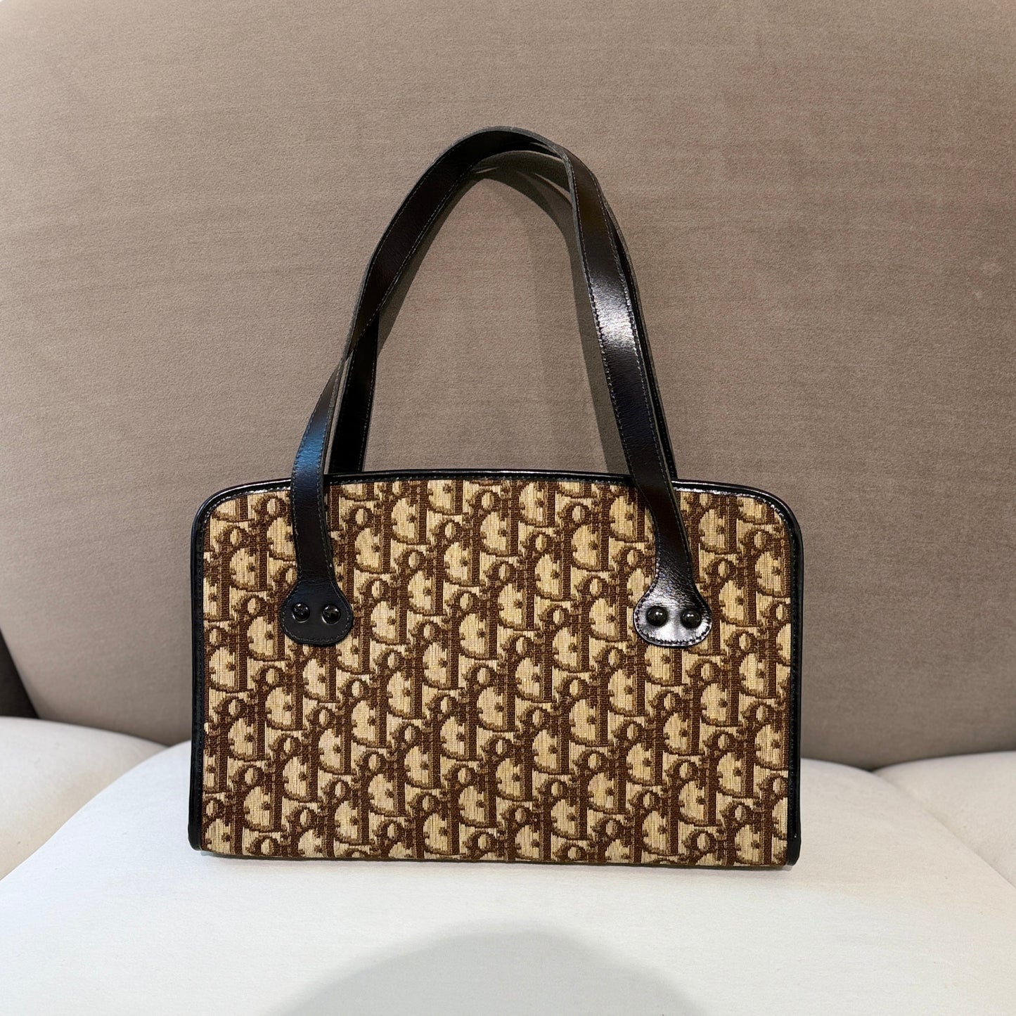 Christian Dior Classic Brown Trotter Pattern Canvas Handbag