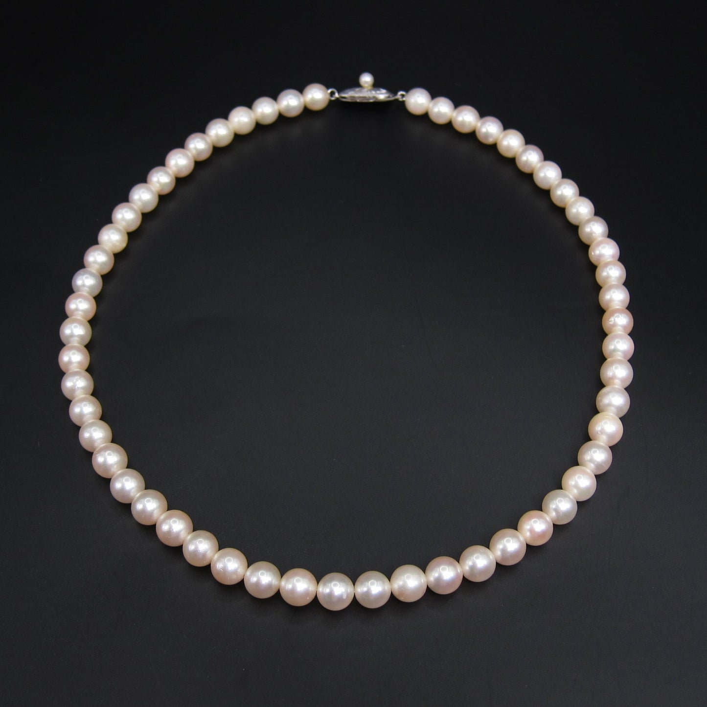 No Brand Vintage Akoya Pearl with Silver Buckle Necklace