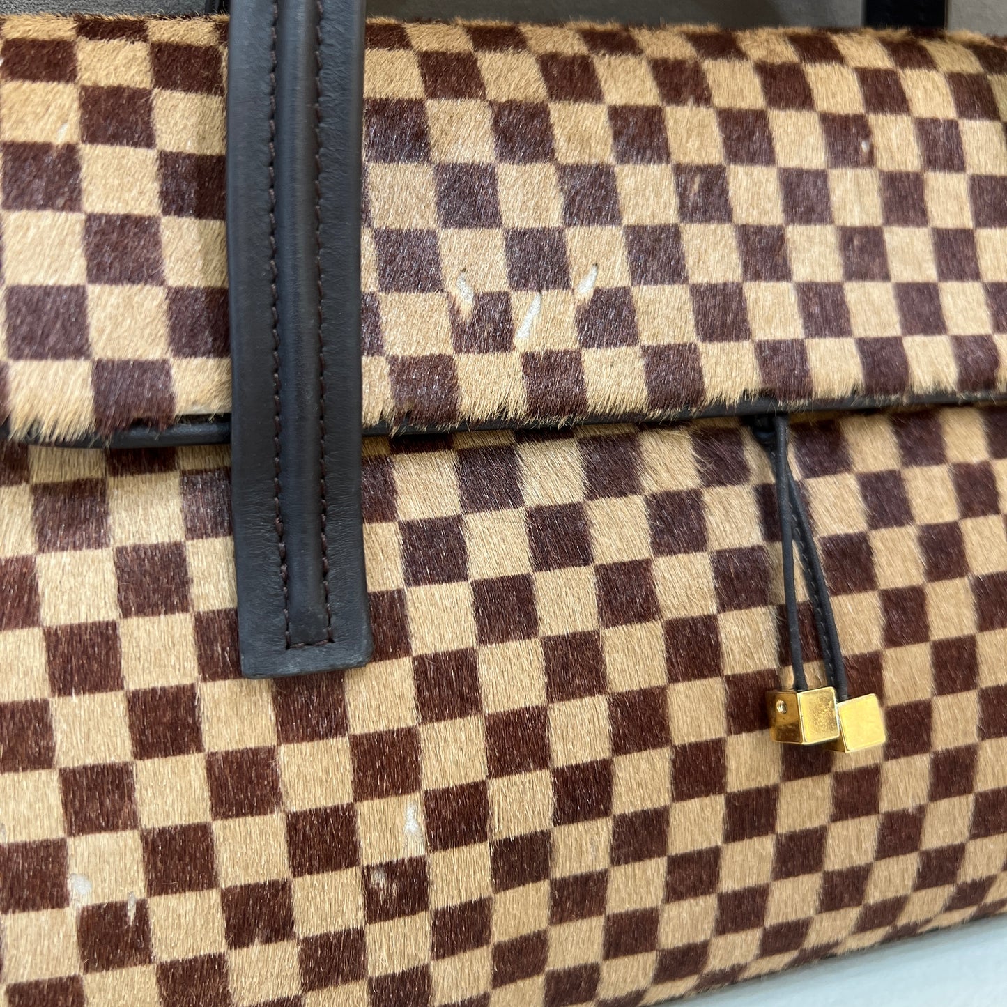 Louis Vuitton Sauvage Lion Handbag