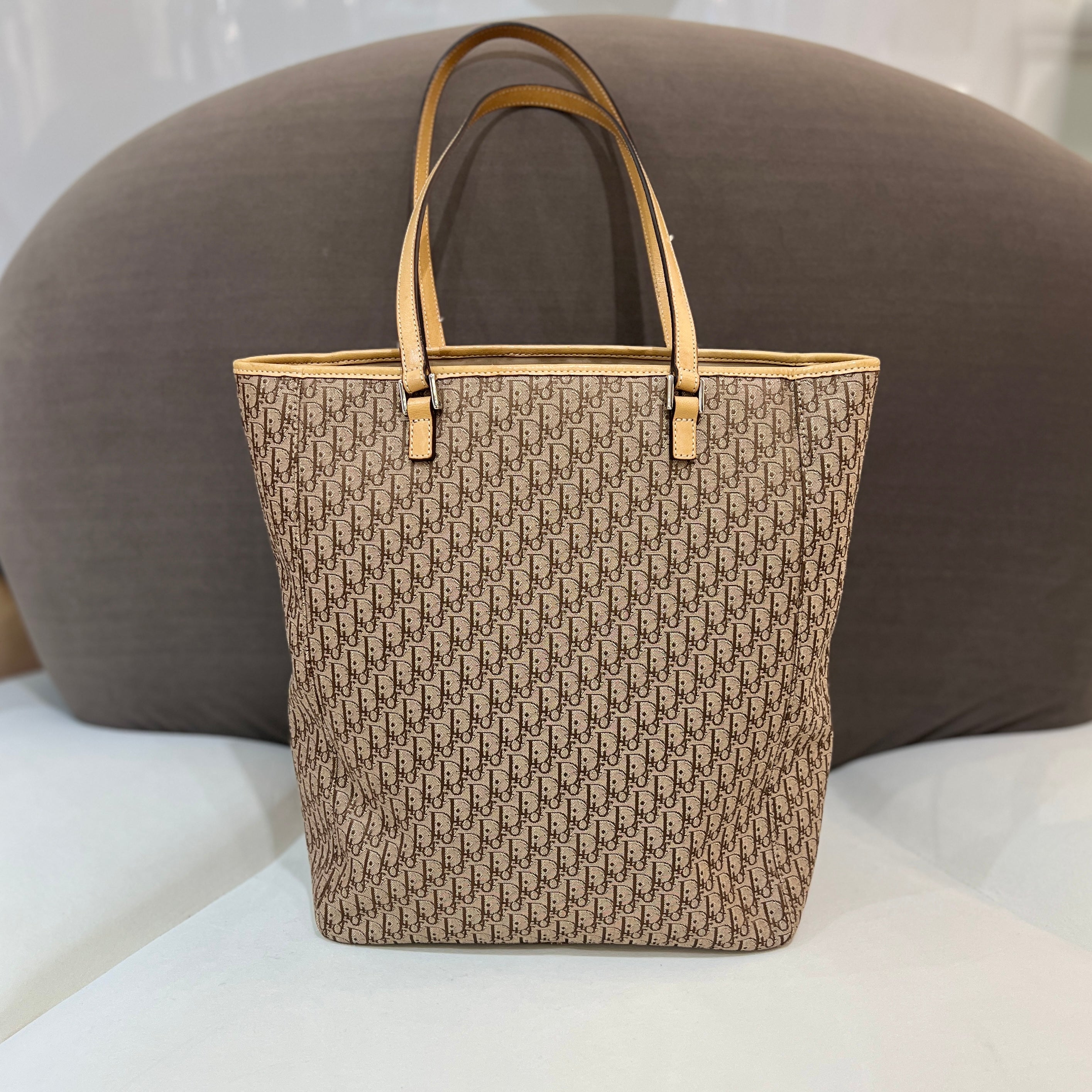 Christian dior 2024 monogram tote