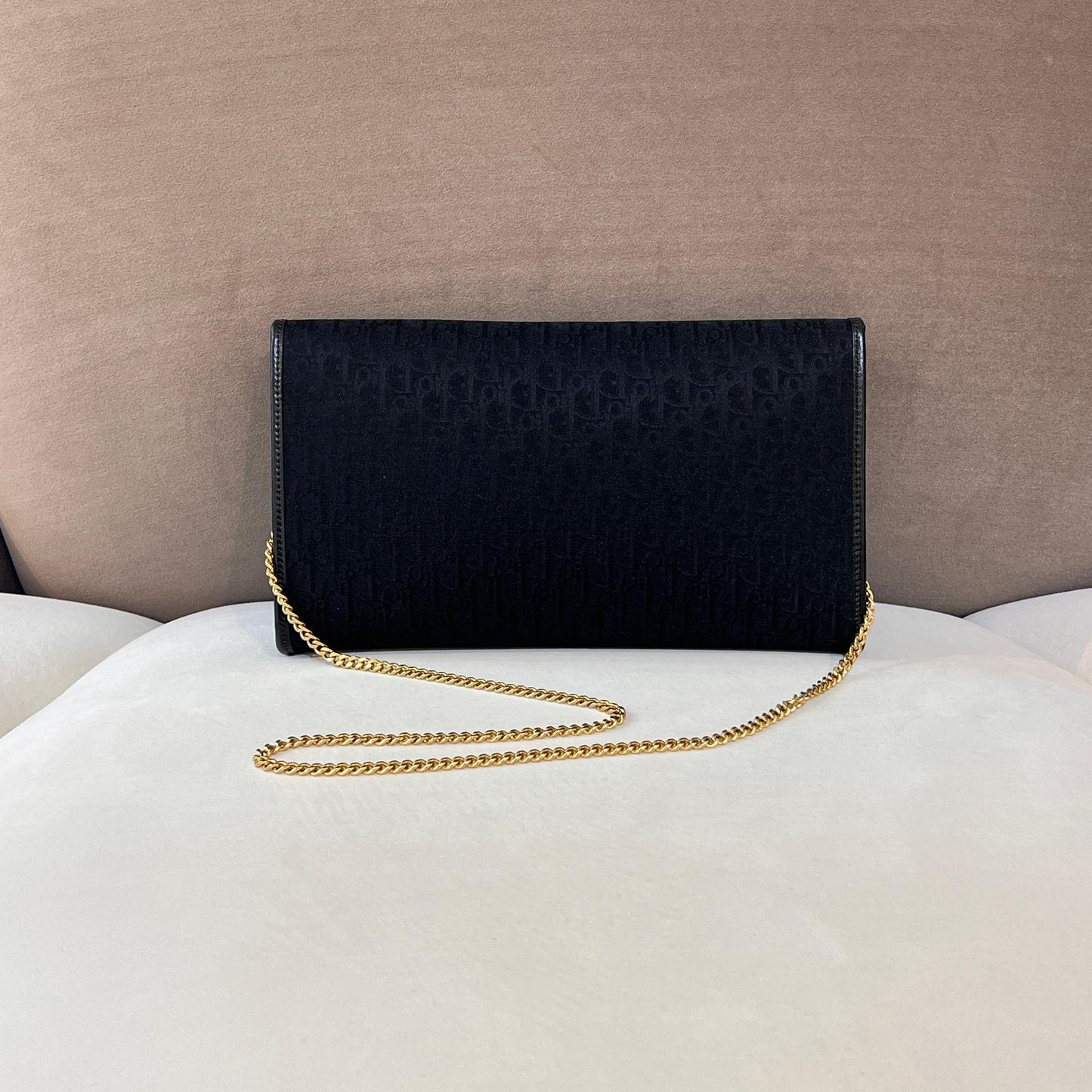 Christian Dior Vintage Trotter Chain Leather Shoulder Bag