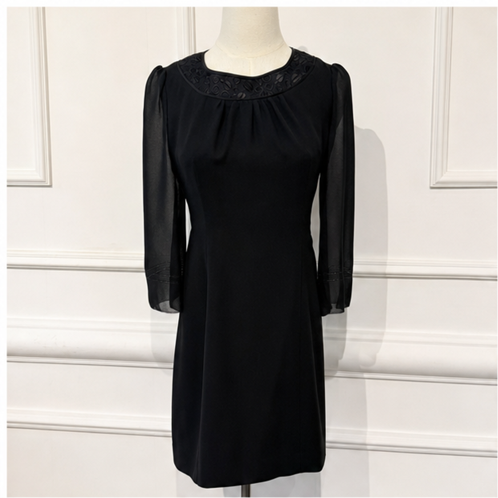 Chloe vintage black dress with sheer sleeves front view