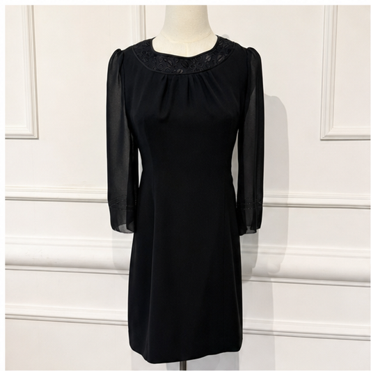 Chloe vintage black dress with sheer sleeves front view