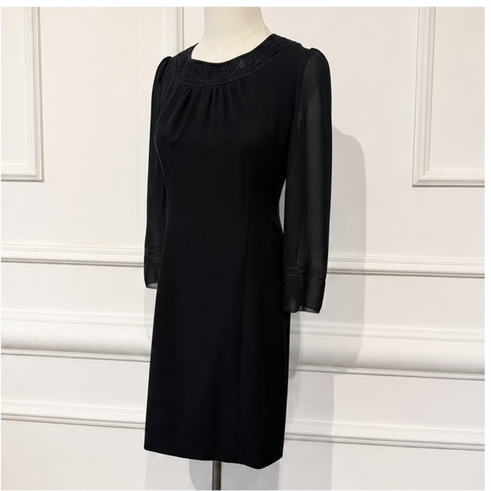 Chloe vintage black dress with sheer sleeves left front view
