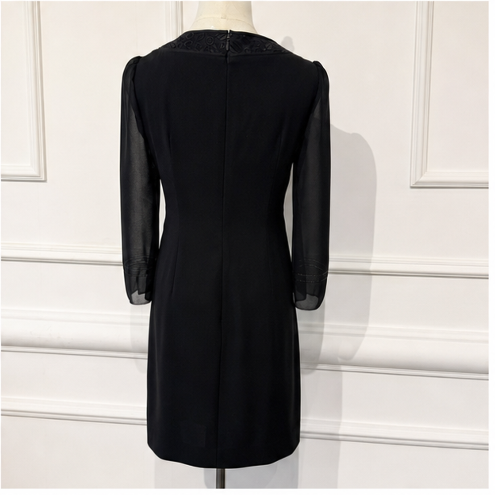 Chloe vintage black dress with sheer sleeves back view